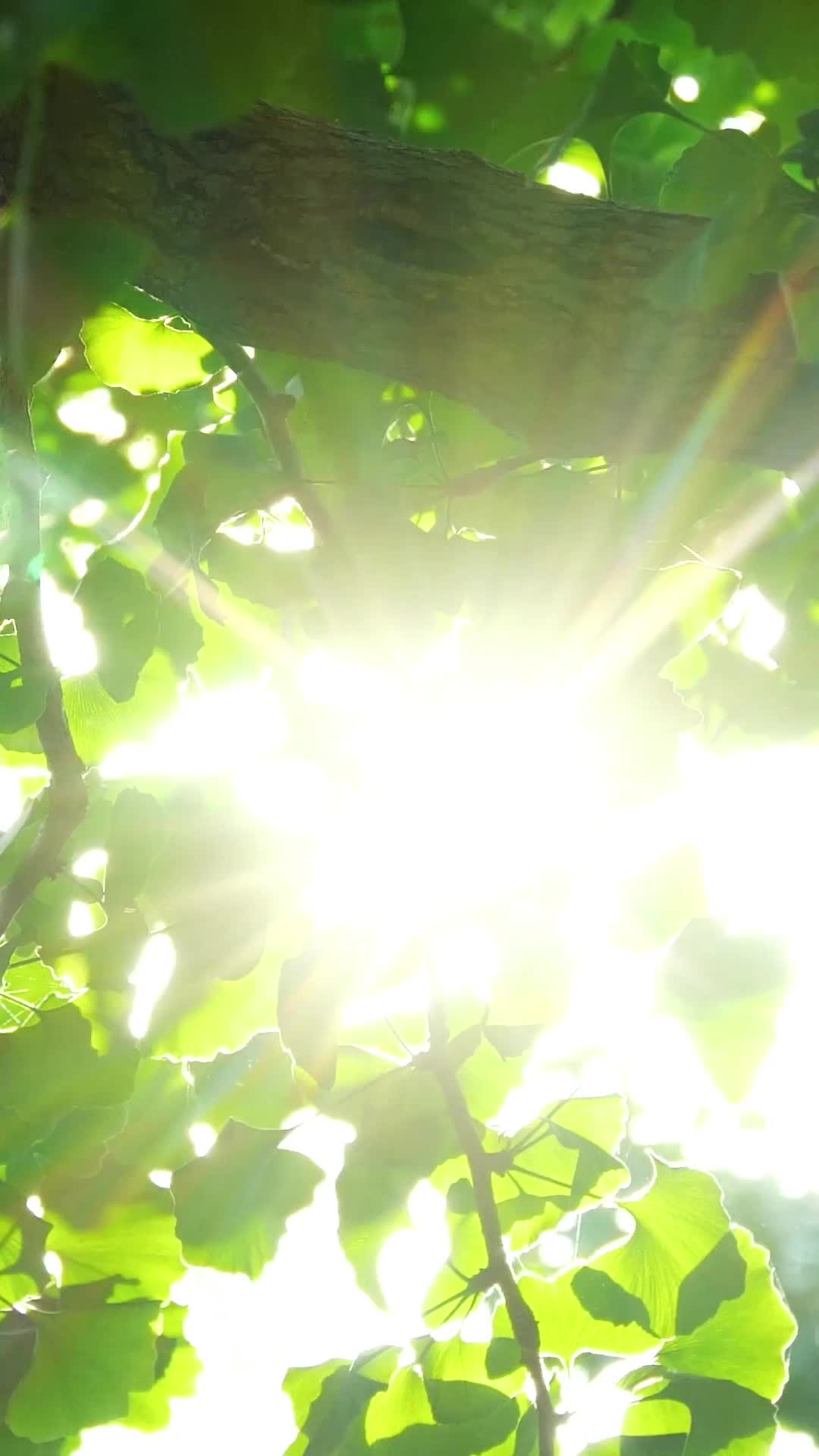 Épisode 71 - Mon Alpha, je te soignerai chaque nuit